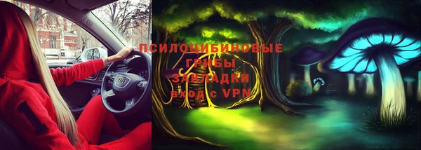 индика Арсеньев