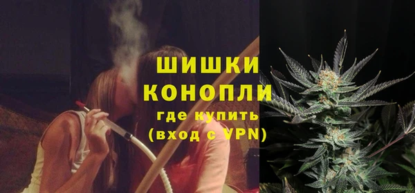 индика Арсеньев