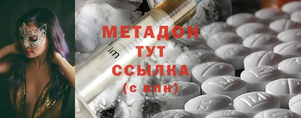 индика Арсеньев