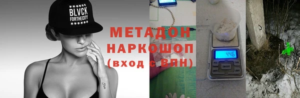 индика Арсеньев