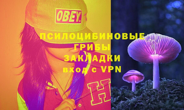 твердый Армянск