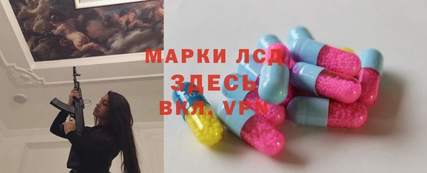 индика Арсеньев
