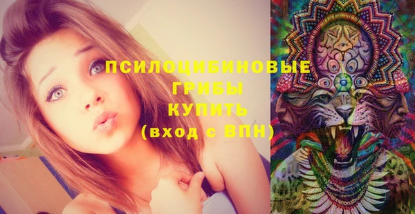 твердый Армянск
