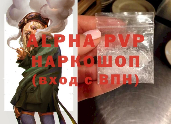 индика Арсеньев