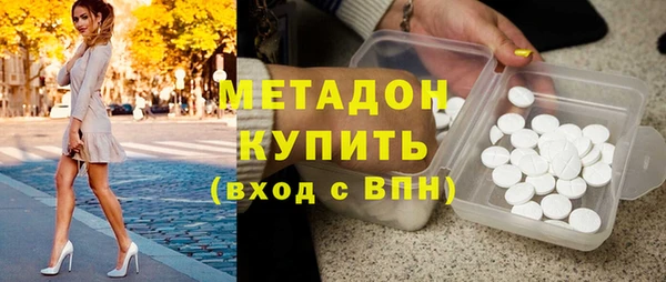индика Арсеньев