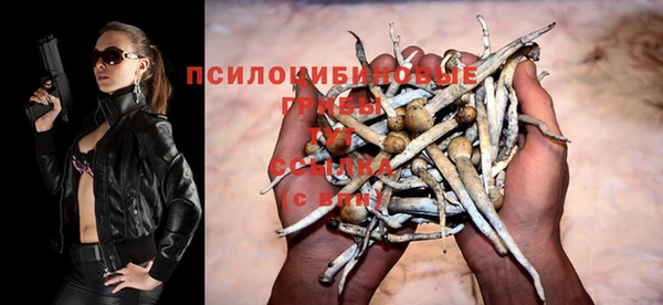 твердый Армянск