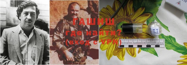индика Арсеньев